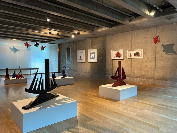 Un centenar de obras de Silvia Corcuera se pueden ver hasta febrero en el MACBA